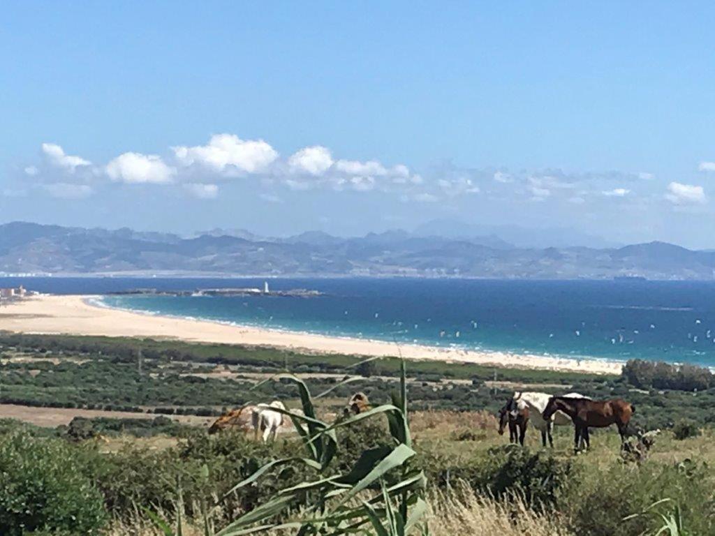 Rustic Cabin Tarifa 4 Guests 10 Minutes To Beach Buitenkant foto